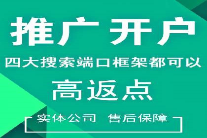 SEM托管服务实战案例：打造高效广告投放策略